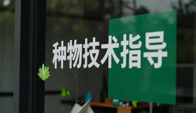 不同气候条件下种植技术的适应性分析